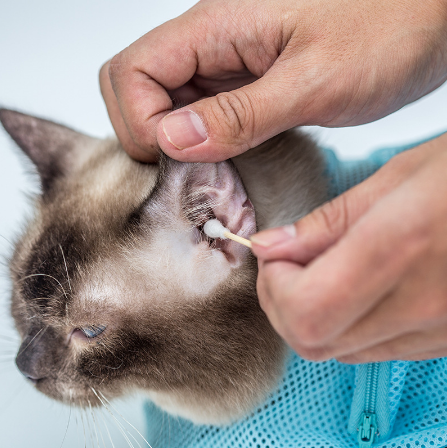 Pet Cat Grooming Bag
