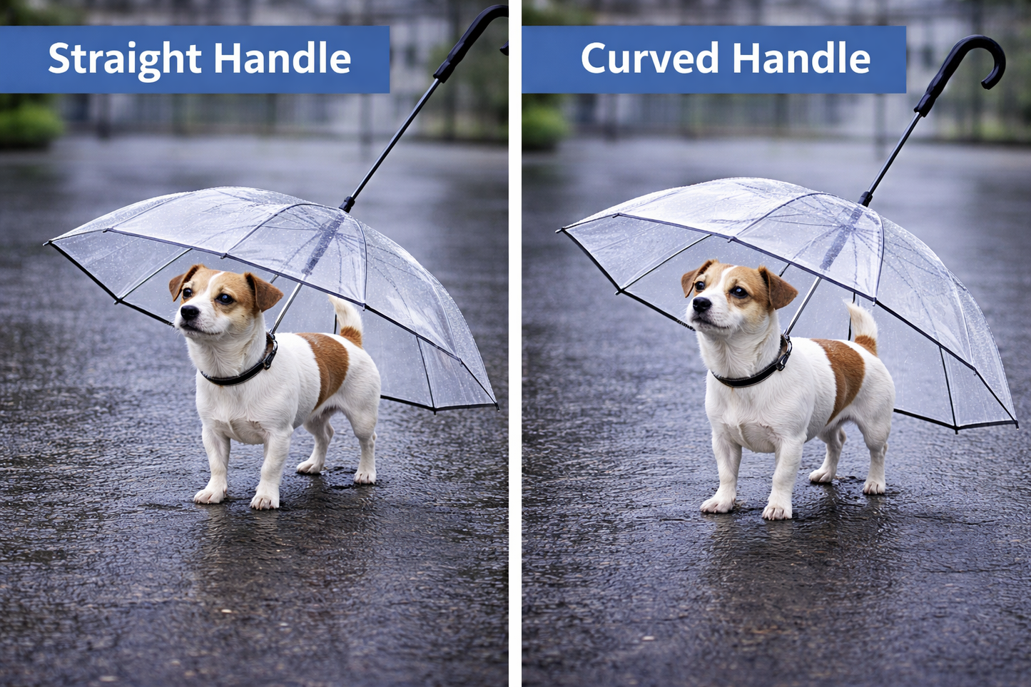 Rain-Proof Dog Umbrella for Stress-Free Walks
