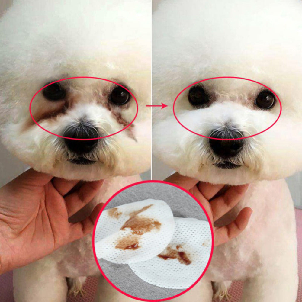 Pet Hygienic Cleaning Wet Wipes