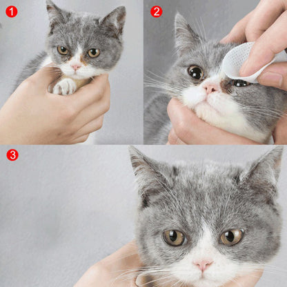 Pet Hygienic Cleaning Wet Wipes