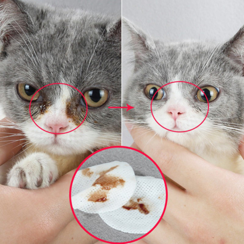 Pet Hygienic Cleaning Wet Wipes