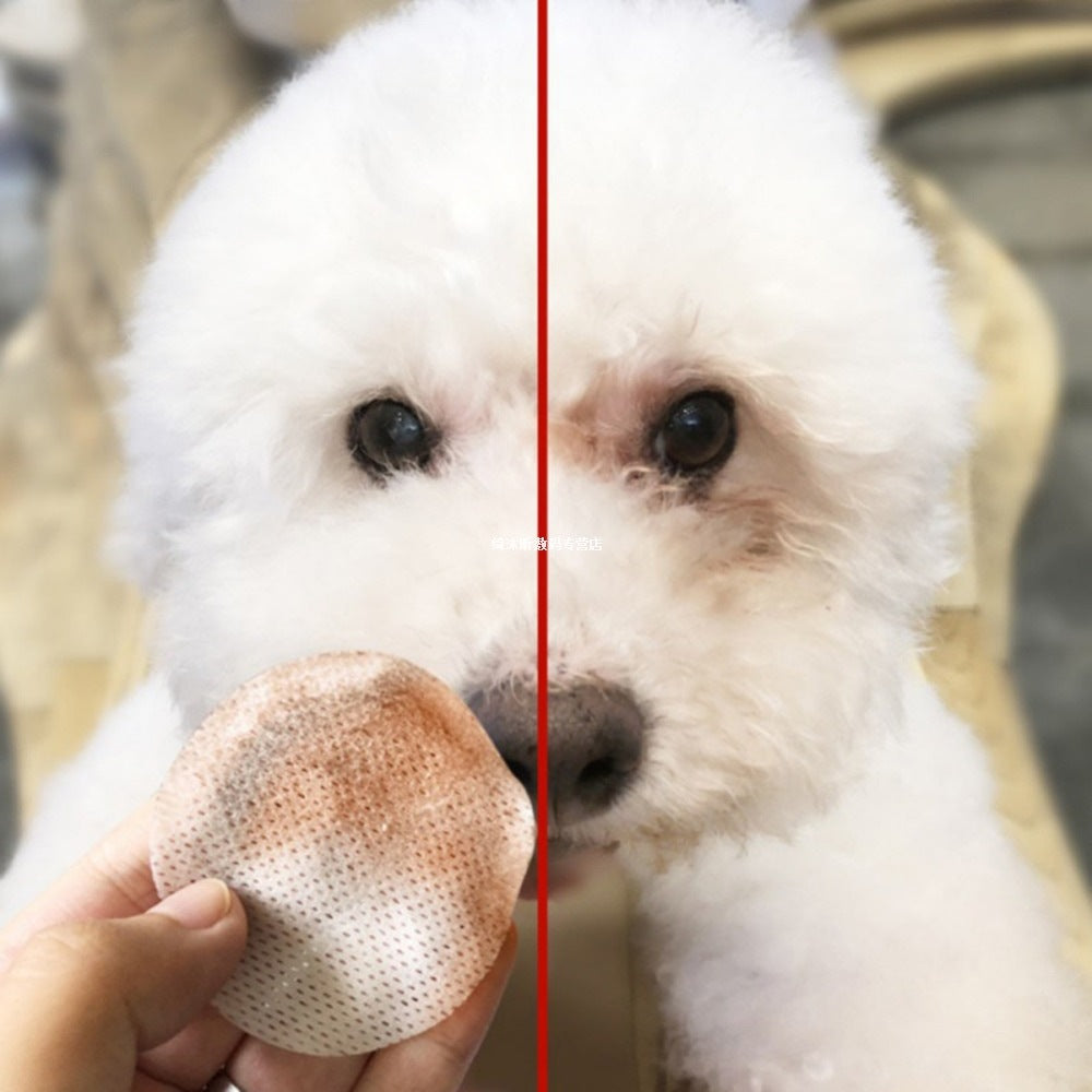 Pet Hygienic Cleaning Wet Wipes