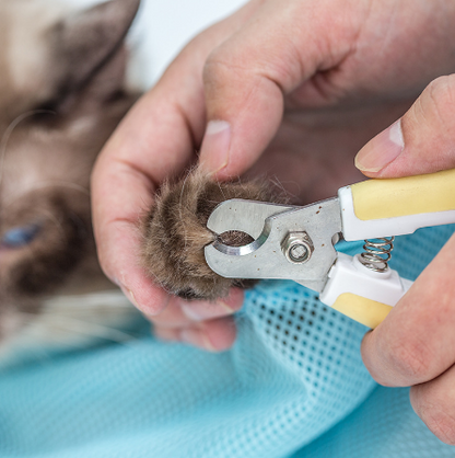 Pet Cat Grooming Bag