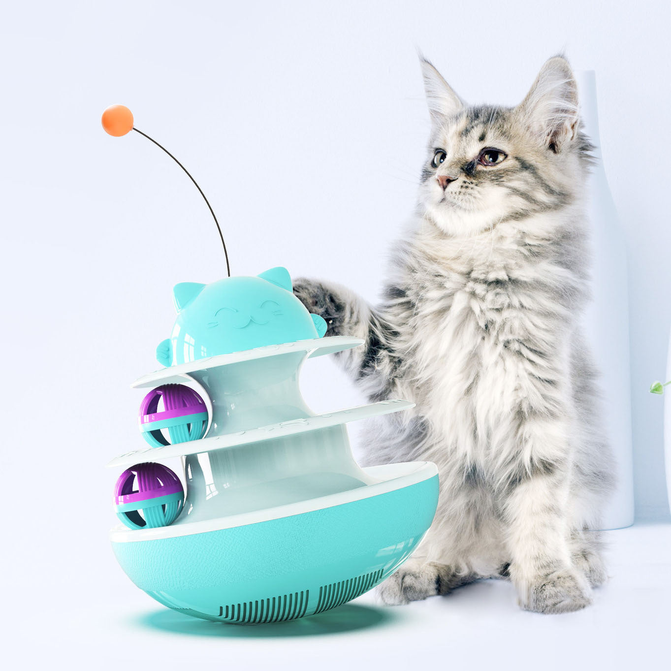 Cat Track Toy
