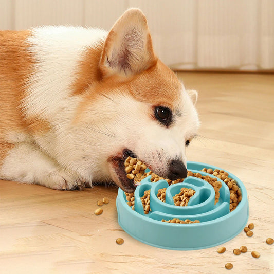 Anti-Gulping Slow Feeder Bowl
