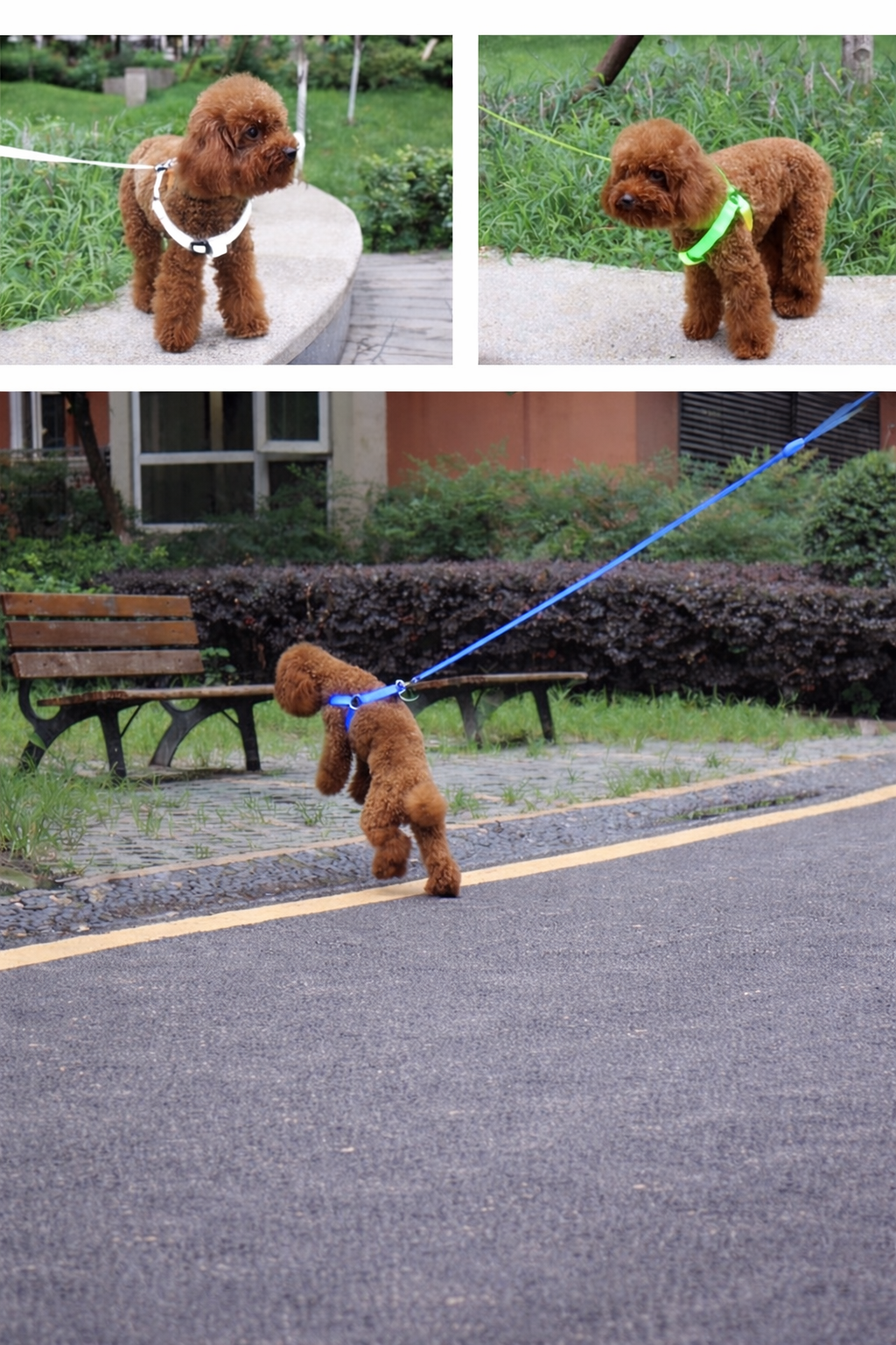 LED Safety Dog Harness Leash For Night Walking