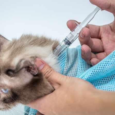 Pet Cat Grooming Bag