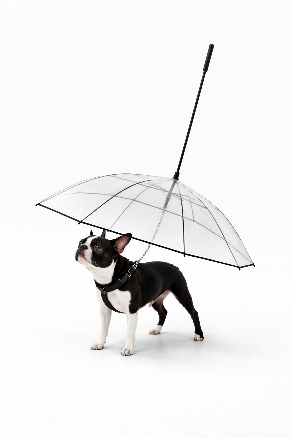 Rain-Proof Dog Umbrella for Stress-Free Walks