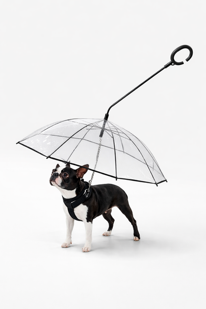 Rain-Proof Dog Umbrella for Stress-Free Walks