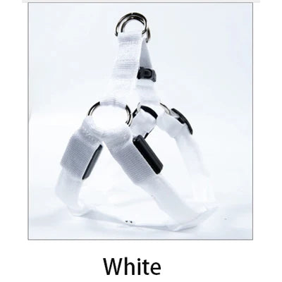 LED Safety Dog Harness Leash For Night Walking