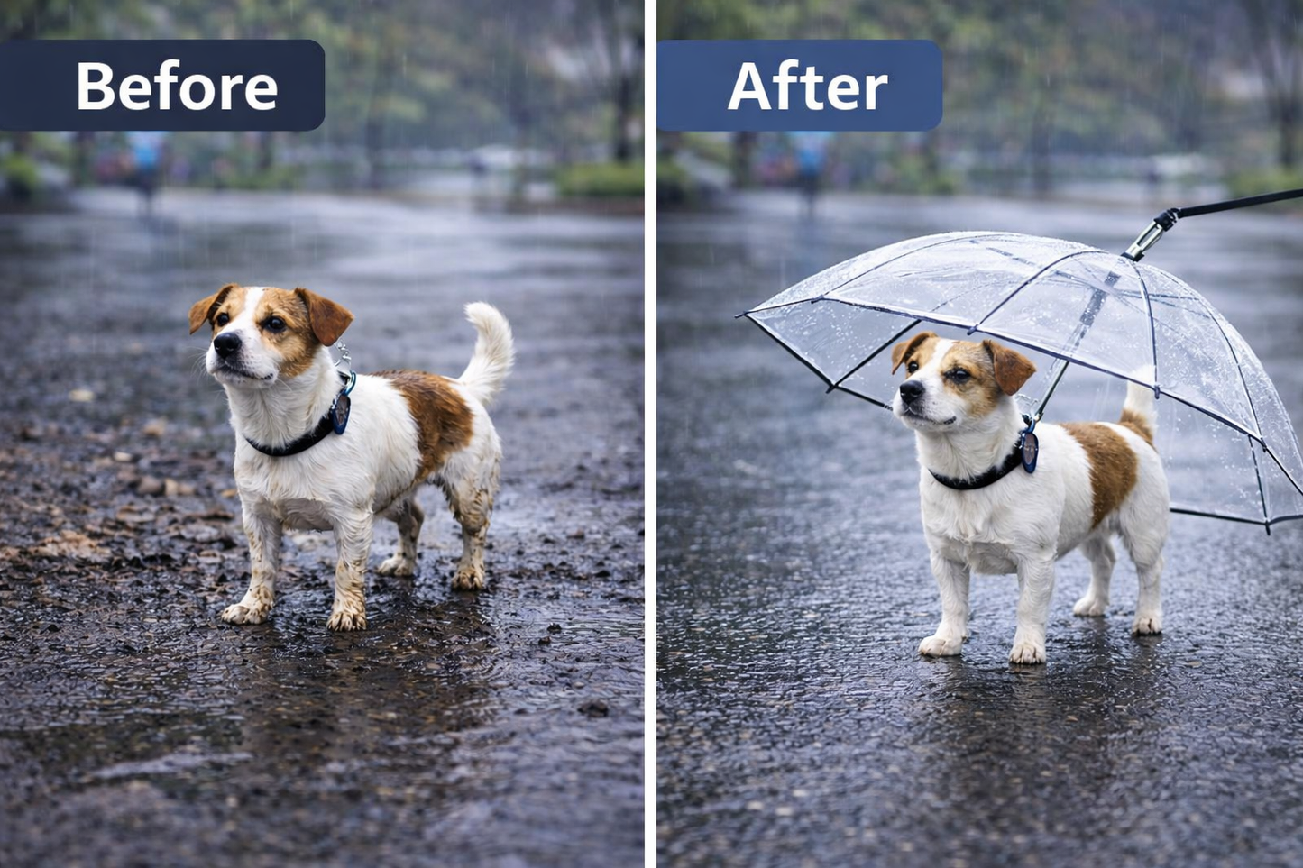 Rain-Proof Dog Umbrella for Stress-Free Walks