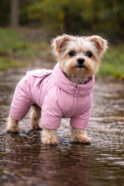 Waterproof Dog Jacket