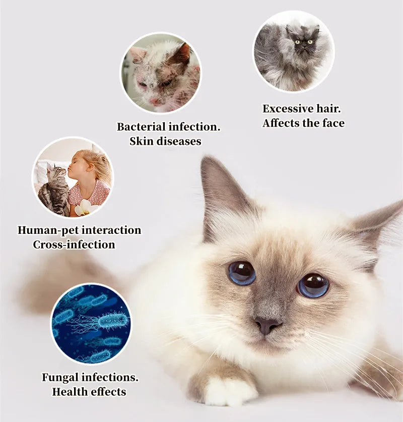 UVC Sterilization Pet Grooming Comb