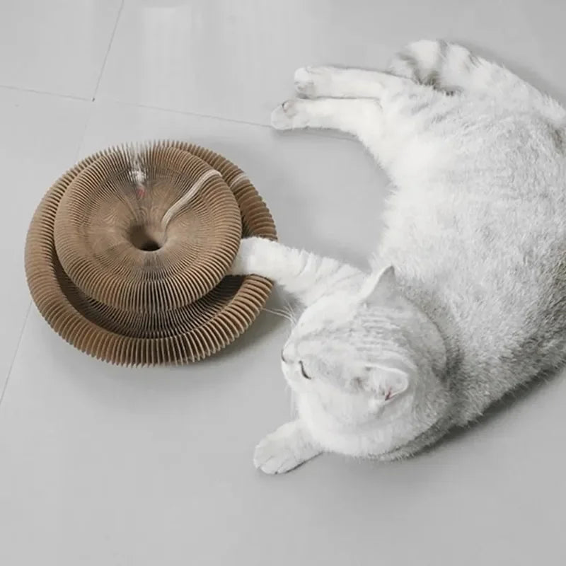 Cat Scratching Board Ball Toy