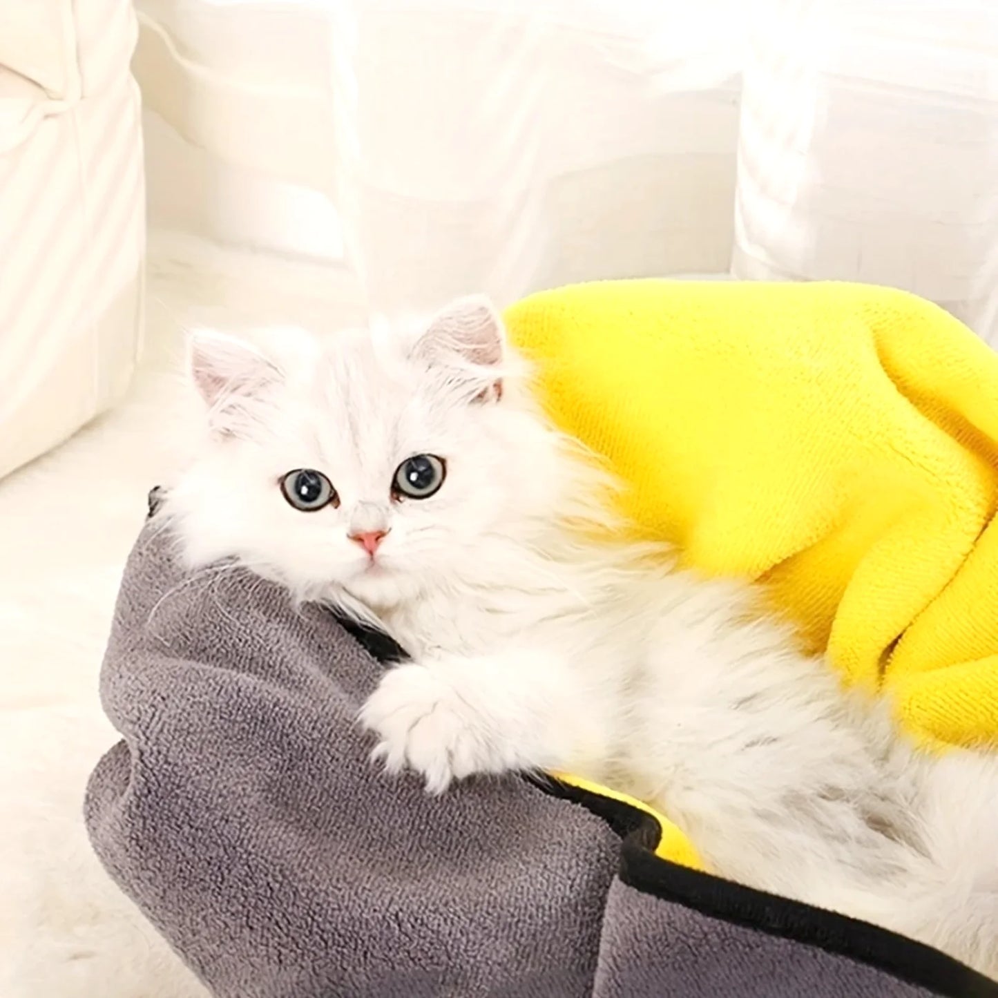 Microfiber Quick Dry Pet Towel